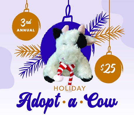 Desert Mission Food Bank - 2025 Milk Drive