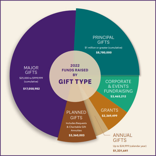2022 funds raised by gift type