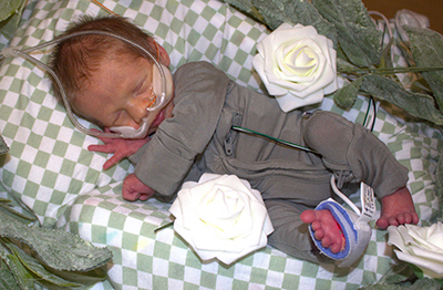 2025 NICU Tea and Luncheon - NICU baby