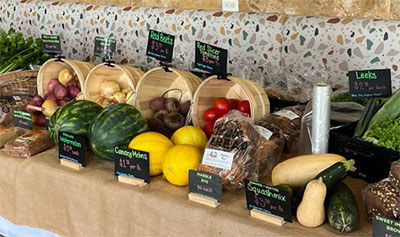 2026 Impact Report - Desert Mission